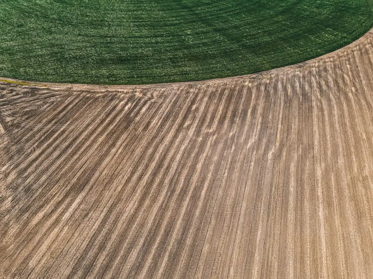 Parcelles agricoles montrant une rotation des cultures pour prévenir les infestations de ravageurs