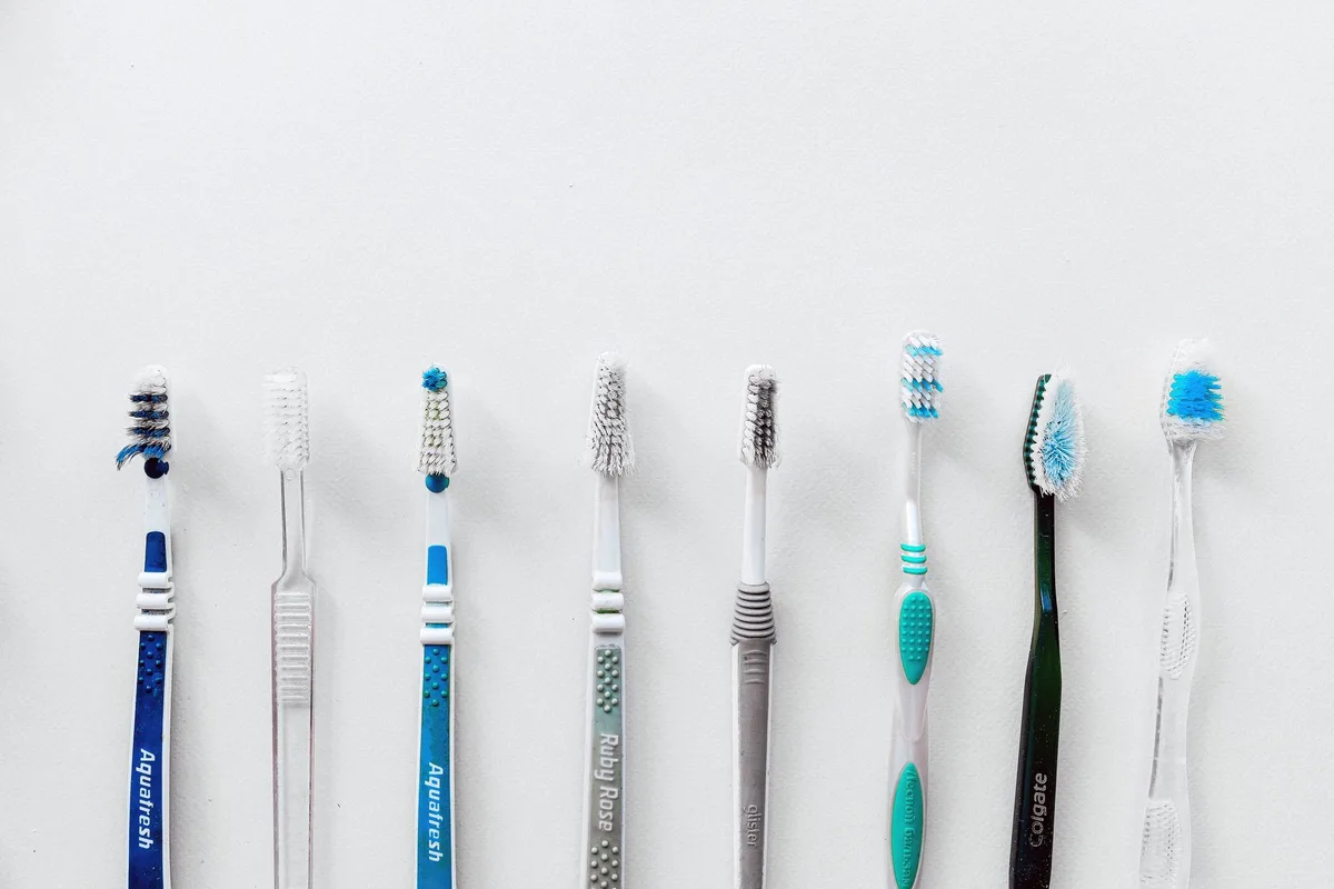 Brossage des dents d'un animal de compagnie à domicile avec une brosse adaptée et un dentifrice vétérinaire.