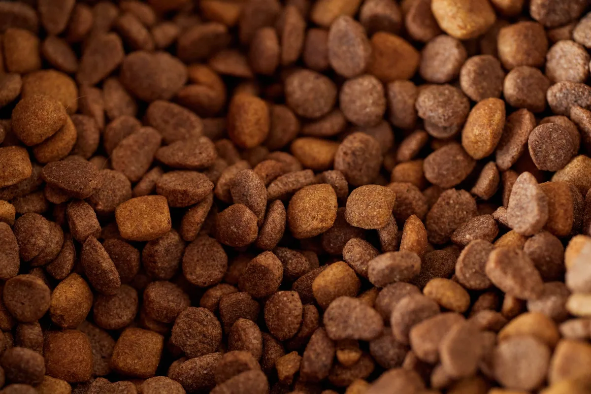Différentes textures d'aliments pour chat dans des gamelles