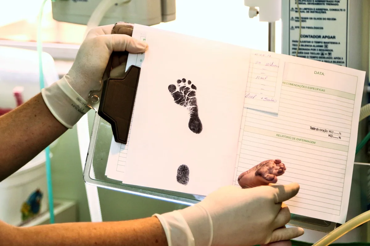 Registres de naissance avec données statistiques et chiffres