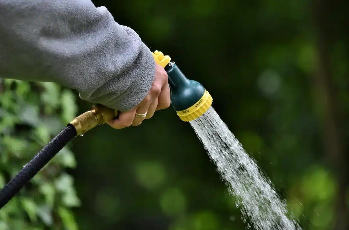 Mains récoltant des graines mûres dans un jardin en plein jour