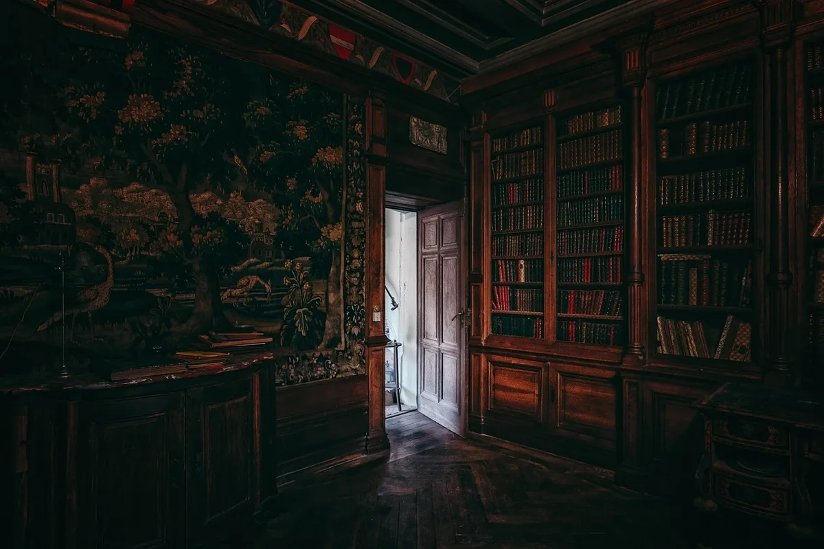 Volumes anciens du XIXe siècle exposés dans une bibliothèque, témoins du patrimoine culturel local
