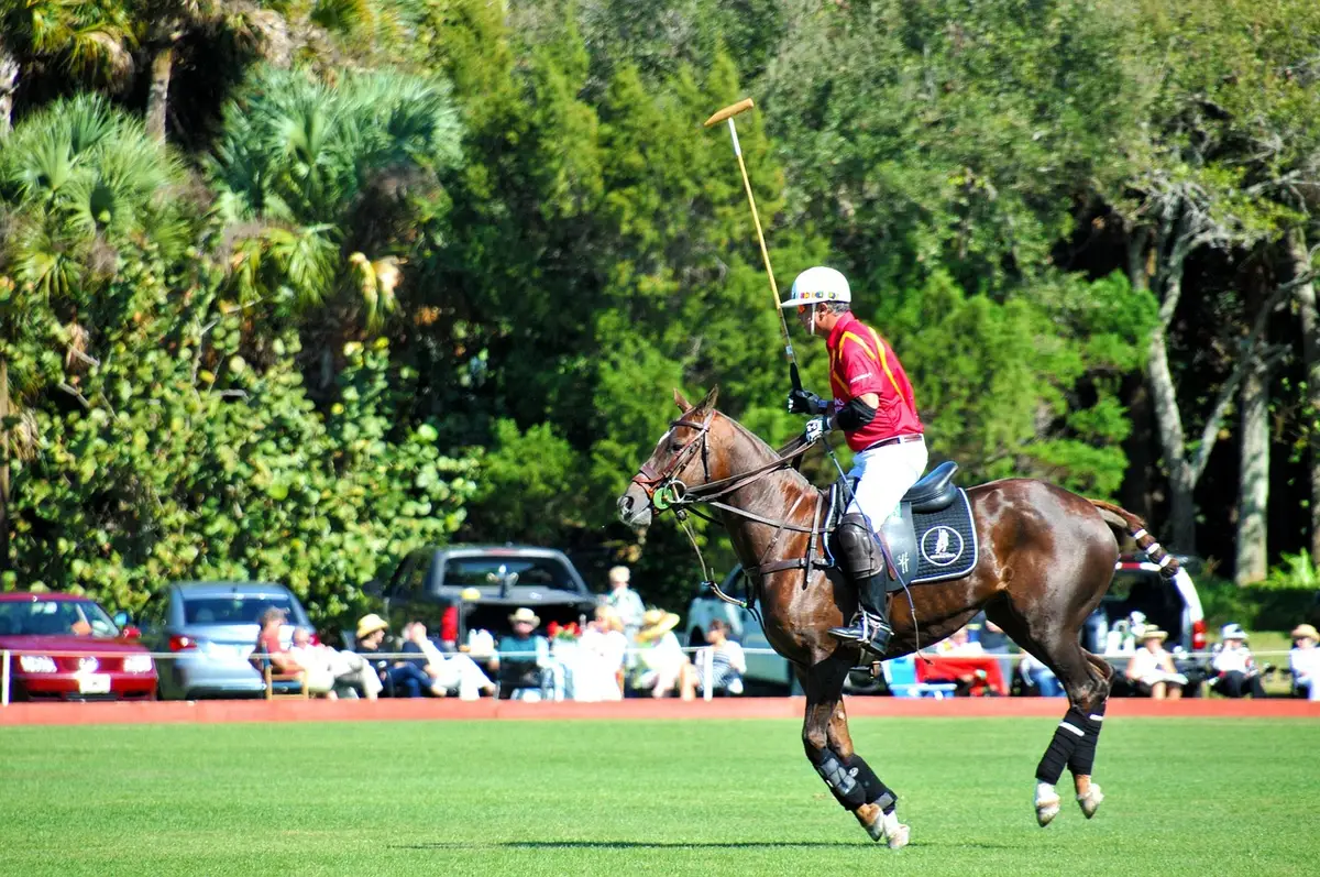 Match de polo sur terrain de haute montagne entouré de sommets enneigés