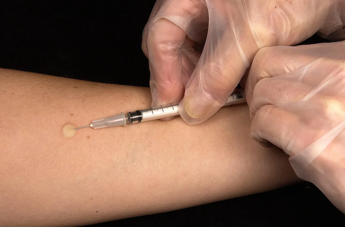 Vaccination d'un chien par un vétérinaire pour prévenir la toux du chenil