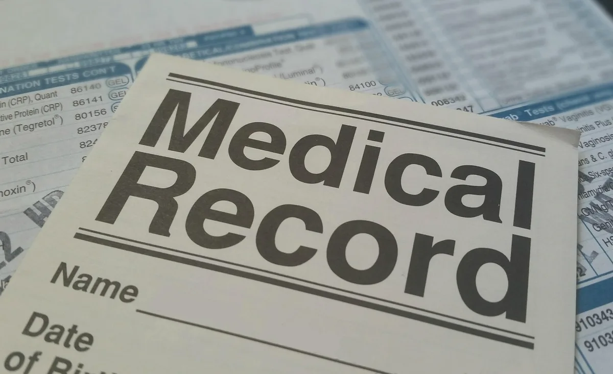 Dossier médical vétérinaire avec carnets de vaccination et documents de santé d'un animal.