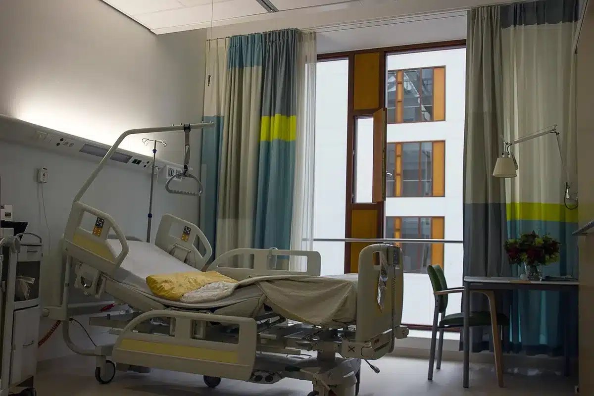 Accueil lumineux d'une clinique vétérinaire avec personnel et dossiers