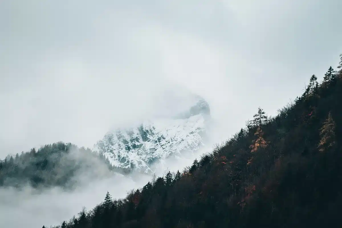 Wagon panoramique lumineux avec vues sur montagnes enneigées
