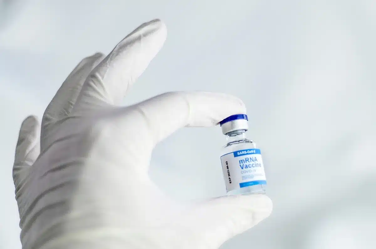 Vétérinaire expliquant les vaccins près d'un chat sur la table